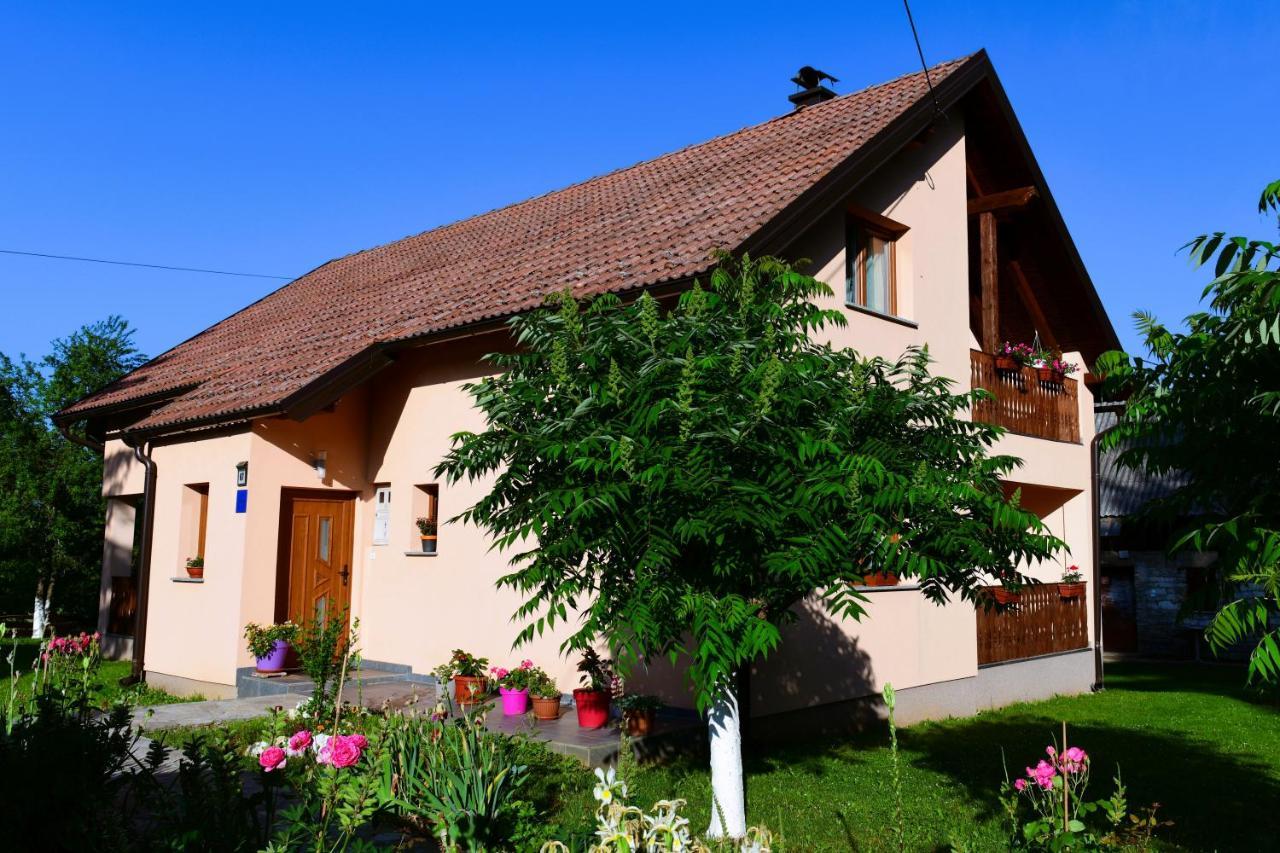 Apartman Jelena Rakovica Exterior foto